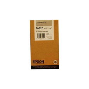 Az Epson Singlepack T603700 Light Black tintapatron tökéletes választás, ha a professzionális megjelenésű dokumentumokat kíván nyomtatni otthonában.