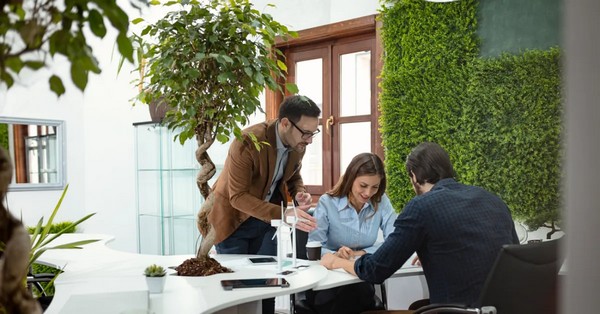 Tudj meg többet a biofil dizájn előnyeiről: természetes elemek, energiatakarékosság és jobb munkakörnyezet a zöldebb iroda kialakításához.​

